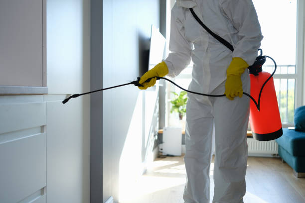 Best Biohazard Mold Removal  in Wurtland, KY